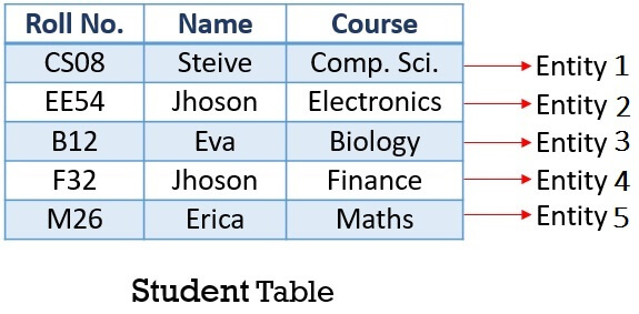 Entity in student table