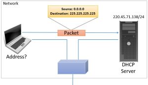 What are Special IP Addresses in IPv4? - Binary Terms